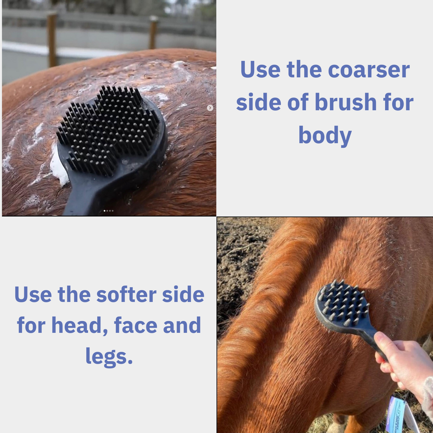 Horse comb for dogs fashion